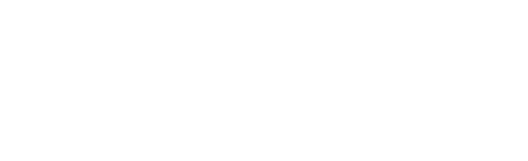 Dens.TV Logo