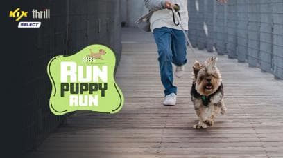 Run Puppy Run | Rated : PG-13