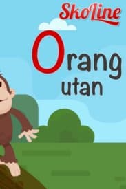 English – Zoo Series : Alphabets N-Z