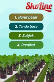 Bahasa – Membaca & Menulis : Kalimat Sederhana