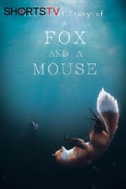A Short Story of A FOX | Rated : SU
