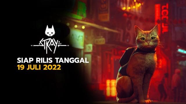 STRAY Siap Rilis Tanggal 19 Juli 2022
