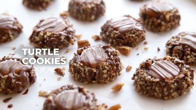 Turtle Cookies