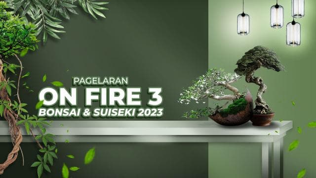 Pagelaran ON FIRE 3 Bonsai & Suiseki 2023