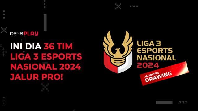 INI DIA 36 TIM LIGA 3 ESPORTS NASIONAL 2024 JALUR PRO!