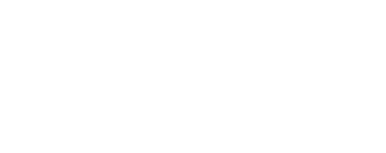 Dens.TV Logo