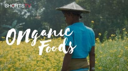 Onganic Foods | Rated : PG
