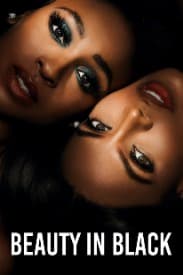 Beauty In Black Series Netflix Trailer